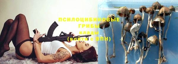 мескалин Инсар