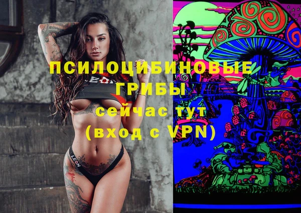 герыч Иннополис