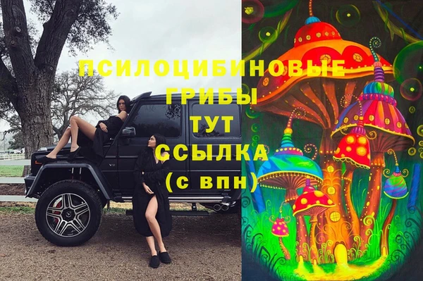 герыч Иннополис