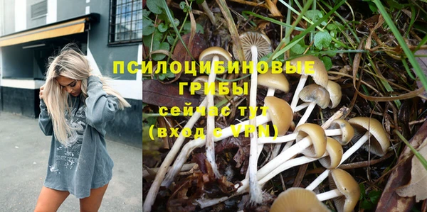 мескалин Инсар